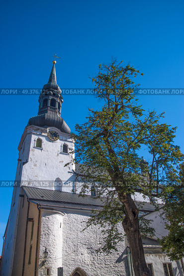  Alexander Nevsky Cathedral in Tallinn. Estonia. Europe. Стоковое фото, агентство Ingram Publishing / Фотобанк Лори