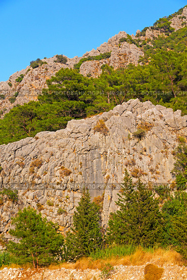  anatolia    from     the hill in asia turkey termessos old architecture and nature . Стоковое фото, агентство Ingram Publishing / Фотобанк Лори