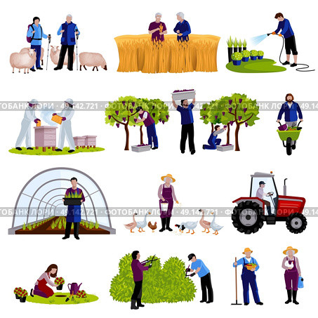  Farmers Gardeners Flat Icons Collection . Farmers and gardeners work moments harvesting  fruits raising cattle and trimming plants flat icons set isolated vector illustration . Стоковая иллюстрация, агентство Ingram Publishing / Фотобанк Лори