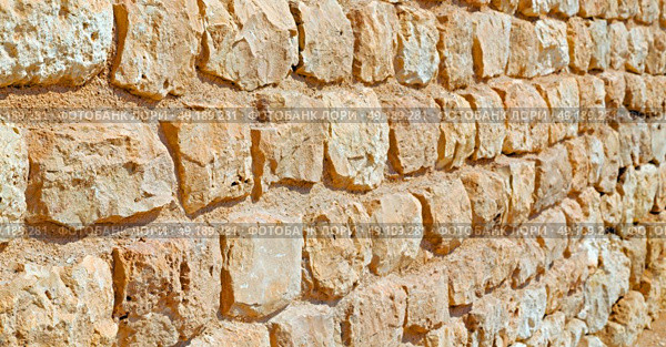   near   house and block building abstract background in oman the old wall. Стоковое фото, агентство Ingram Publishing / Фотобанк Лори
