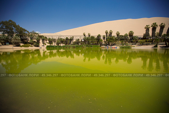  Oasis surrounded by sand dunes near Ica Peru. Стоковое фото, агентство Ingram Publishing / Фотобанк Лори