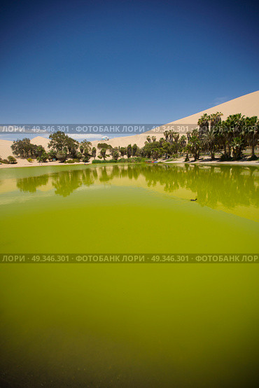  Oasis surrounded by sand dunes near Ica Peru. Стоковое фото, агентство Ingram Publishing / Фотобанк Лори
