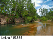 Douglas river, Northern Territory, Australia. Место где горячие воды термальных источников смешиваются с прохладной водой реки. Стоковое фото, фотограф Eleanor Wilks / Фотобанк Лори