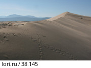 Песчаный бархан. Стоковое фото, фотограф Андрюхина Анастасия / Фотобанк Лори
