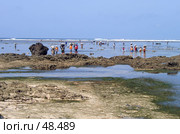 Сбор водорослей жителями острова Бали в Индонезии (2004 год). Стоковое фото, фотограф Татьяна Белова / Фотобанк Лори