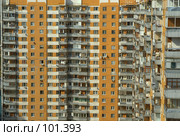 Муравейник (2007 год). Стоковое фото, фотограф Лена Лазарева / Фотобанк Лори