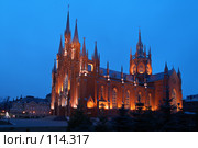 Храм Непорочного Зачатия Пресвятой Девы Марии (2007 год). Стоковое фото, фотограф Павел Широков / Фотобанк Лори