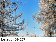 Омск,телевышка--вид из зимнего парка. Стоковое фото, фотограф Круглов Олег / Фотобанк Лори