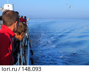 Люди на корабле смотрят на чаек (2007 год). Редакционное фото, фотограф Ярослава Синицына / Фотобанк Лори