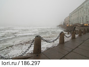 Туманный зимний день. Петербург (2007 год). Стоковое фото, фотограф Александр Алексеев / Фотобанк Лори