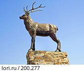 Олень на фоне голубого неба (2007 год). Редакционное фото, фотограф Ларина Татьяна / Фотобанк Лори
