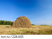 Сток сена на лугу. Стоковое фото, фотограф Дмитрий Ощепков / Фотобанк Лори