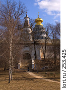 Истра. Воскресенский Ново-Иерусалимский монастырь. (2008 год). Стоковое фото, фотограф Julia Nelson / Фотобанк Лори