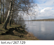 На берегу Волги. Стоковое фото, фотограф Георгий Ильин / Фотобанк Лори