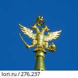 Двуглавый орел на Историческом музее. Стоковое фото, фотограф lana1501 / Фотобанк Лори