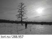 Люди в лесу на лыжах. Стоковое фото, фотограф Селигеев Андрей Иванович / Фотобанк Лори