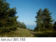 Песчаные дюны наступают (2007 год). Редакционное фото, фотограф Алексей Зарубин / Фотобанк Лори