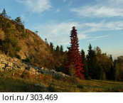 Осень на отрогах Уральских гор (2007 год). Редакционное фото, фотограф Sergey Toronto / Фотобанк Лори