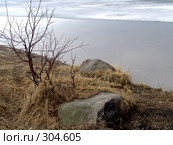 Последний лед. Стоковое фото, фотограф Елена Александрова / Фотобанк Лори