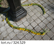Разорванный венок из одуванчиков на мощёной дорожке. Стоковое фото, фотограф Илекс / Фотобанк Лори