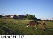Бабушка гонит корову. Стоковое фото, фотограф Талдыкин Юрий / Фотобанк Лори