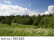 Лето на Коневце. Стоковое фото, фотограф Самохвалов Артем / Фотобанк Лори