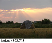 Стог на закате. Стоковое фото, фотограф Ольга Романенко / Фотобанк Лори