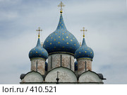 Суздаль. Купола собора Рождества Богородицы. Редакционное фото, фотограф Денис Шароватов / Фотобанк Лори