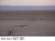 Земля коробится. Солончаки (2008 год). Стоковое фото, фотограф Nikiandr / Фотобанк Лори