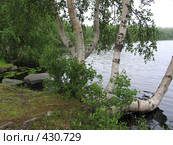 Соловки. Остров Анзер. На берегу Святого озера (2007 год). Редакционное фото, фотограф Т. З. / Фотобанк Лори