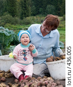 Бабушка и внучка перебирают картофель (2008 год). Редакционное фото, фотограф Ирина Солошенко / Фотобанк Лори