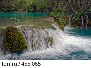 И на воде растут... Стоковое фото, фотограф Pukhov K / Фотобанк Лори