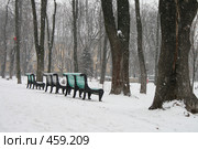Лавочка в парке Т.Шевченко (Киев) (2008 год). Стоковое фото, фотограф Никончук Алексей / Фотобанк Лори