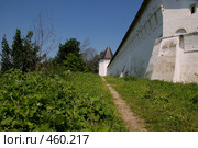 Звенигород. У стен Саввино-Сторожевского монастыря (2008 год). Стоковое фото, фотограф Julia Nelson / Фотобанк Лори