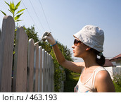 Окраска дачного забора. Стоковое фото, фотограф Николай Коржов / Фотобанк Лори
