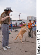 Дрессированный пес (2008 год). Редакционное фото, фотограф Светлана Силецкая / Фотобанк Лори