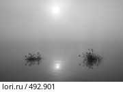 Туманное утро на реке. Стоковое фото, фотограф Круглов Олег / Фотобанк Лори
