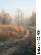 Туманный путь. Стоковое фото, фотограф Круглов Олег / Фотобанк Лори