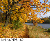 Золотая осень в Химкинском парке (2008 год). Стоковое фото, фотограф Т. З. / Фотобанк Лори