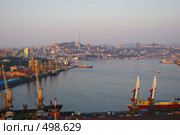 Владивостокский морской торговый порт (2008 год). Редакционное фото, фотограф Елена Климовская / Фотобанк Лори