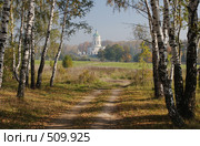 Дорога к храму. Стоковое фото, фотограф Афонченков Игорь Николаевич / Фотобанк Лори
