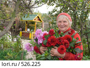 Пенсионерка с букетом георгин на даче. Стоковое фото, фотограф Донцов Евгений Викторович / Фотобанк Лори