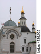 Томский Богородице-Алексиевский мужской монастырь (2008 год). Стоковое фото, фотограф Андрей Николаев / Фотобанк Лори