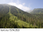 Долина реки Мамай (2008 год). Редакционное фото, фотограф Якуп Максим / Фотобанк Лори