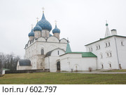 Суздальский кремль. Собор Рождества Богородицы (XIII-ХIX вв.) (2008 год). Редакционное фото, фотограф Михаил Ворожцов / Фотобанк Лори
