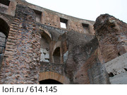 Рим. Колизей (2008 год). Стоковое фото, фотограф Сергеев Игорь / Фотобанк Лори
