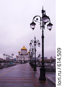 Ранняя зима в Москве. Храм Христа Спасителя (2008 год). Стоковое фото, фотограф E. O. / Фотобанк Лори