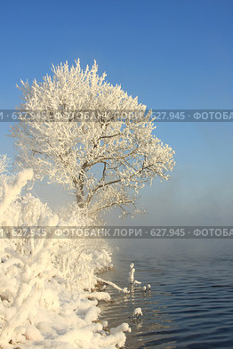 Берег. Стоковое фото, фотограф Зудин Виталий Владимирович / Фотобанк Лори