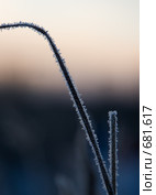Зимняя абстракция. Стоковое фото, фотограф Argument / Фотобанк Лори