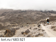 Восхождение на Килиманджаро по маршруту Machame Route, Танзания (2008 год). Редакционное фото, фотограф Алексей Зарубин / Фотобанк Лори